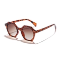 Retro polygon sunglasses with leopard print frames and brown gradient lenses - Tortoiseshell Frame Tea Lens