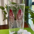 Macro detail of gradient pink cicada wing earrings with silver foil on glass - Red Silver Foil