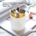 Orange cinnamon scented candle with dried fruit and pine cone, 7cm x 7.5cm size - Orange Cinnamon - Scented Candle