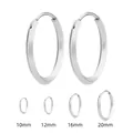 Confronto delle dimensioni degli orecchini a cerchio in acciaio al titanio da 10mm a 20mm - 20mm / Argento