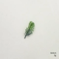 Frosted artificial pine branch spray for Christmas DIY crafts and tree decoration 8x4cm - Leaf