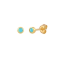 Minimalist round stud earrings in gold finish featuring turquoise stones and butterfly backs - Gold Turquoise Zirconia
