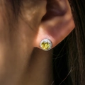 Macro shot of halo stud earring with yellow round gemstone and white crystal pavé - White Gold with Yellow Zircon