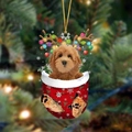 1-Golden Retriever