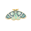 Dark Blue Green Celestial Moth