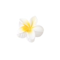 Close-up of tropical frangipani hair claw clip with white and yellow gradient petals - #1 White - Gradient - 8cm