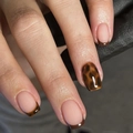 Kurze eckige Schildpatt-Kunstnägel mit braunen French-Tips und nudefarbener Basis - Französischer Brauner Schildpatt-Stil (JP4158)