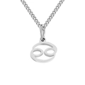 Minimalist silver stainless steel zodiac necklace with a Cancer symbol pendant SKU. - Cancer / Steel