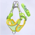 Lime green reflective small dog harness and leash set in size S for puppies - Size S (Recommended 3-6 lbs) / Green Harness + 1.2m Leash