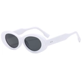 Monture Blanche Verres Gris Foncé