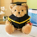 Adorable graduation teddy bear plush toy wearing a black gown and mortarboard cap gift - Graduation Bear With Cloak / Yellow Trim / 25cm