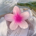 Pink gradient frangipani hair claw clip made of translucent acrylic for elegant styling - Pink Plumeria