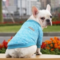 French Bulldog wearing a blue and white knitted classic sweater with leather patch - Pale Blue