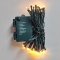Catena luminosa natalizia verde da 2,7m con 9 modalità di luce e scatola batteria - 50 LED a Batteria Filo Verde Luce Calda