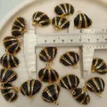 Muschel-Anhänger mit Goldbeschichtung und schwarzer Emaille, Größe 25mm mit Messschieber - Schwarzgold geränderte schwarze Schneemuschel