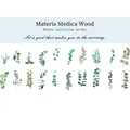 Nature Window PET stickers set with 20 watercolor green leaf designs for DIY decor - Herbal Wood