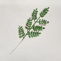 Dettaglio di foglie artificiali verdi con finitura glitterata per decorazioni natalizie - Verde