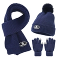 Detail des dunkelblauen Winterstricksets mit Touchscreen-Handschuhen und Teddy-Logo - Marineblau