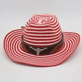 Detail of red and white striped cowboy hat with brown leather band and bull skull emblem - One Size(56-58cm) / Red White Striped (Bull Head + Rope)