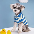 Blue and white striped dog polo shirt with collar on a Schnauzer for summer - Polo Shirt Blue