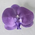 Testa di orchidea artificiale viola per fai da te e accessori per decorazioni nuziali - Pellicola 3D Viola N. 1 (Grande)