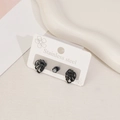 Ensemble de boucles d'oreilles noires en acier inoxydable avec motif feuille de palmier - Feuille de Palmier Noir