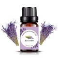 10ml natural lavender essential oil in amber glass bottle with dried lavender flowers - 10ml / Lavender