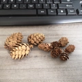 Natural brown pine cones set for creative Christmas decoration and DIY crafts - 1-2CM Natural