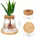 Hydroponic glass vase with cork lid and bamboo tray, detailed size specifications - Volcano Cup with Bamboo Mat