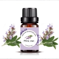 10ml Clary Sage natural essential oil in a glass bottle with fresh herbal accents - 10ml / Clary Sage