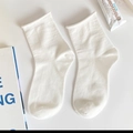 Minimalist solid white cotton crew socks with soft rolled edge for women - Rolled Edge