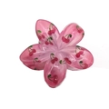 Pink translucent flower hair claw clip with red cherry patterns and secure grip - UV Print Plumeria [Red Fruit]