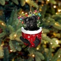 Mops in Weihnachtsstrumpf Anhänger mit Rentiergeweih und bunter Lichterkette Deko - Mops Hund