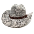 Cappello da cowboy con stampa a serpente, cintura marrone e fibbia a testa di toro vintage - M(56-58cm) / Motivo Serpente Grigio