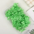 Preserved green hydrangea petals in a transparent box for DIY craft and flower art - 5g / Emerald Green