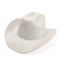 Macro shot of silver iridescent glitter texture on a western style cowboy hat surface - 58cm / Off White