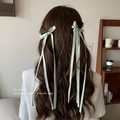 Elegant light green ribbon bow hair clip with long streamers on wavy brunette hair - Green Streamer Bow