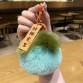 Plush persimmon keychain in light blue and green with a lucky orange tag - Green Persimmon Good Luck