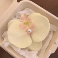 Neue chinesische Orchidee-Haarklammer mit weißer Perle für Urlaub und Reisen - Beige