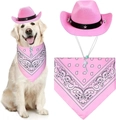 Pink star-studded cowboy hat and bandana set on a golden retriever dog - Pink + Pink Bandana