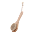 25x8cm Medium Handle Brush