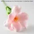 Brownie Flower Pink
