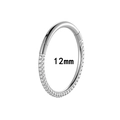 Titanium hinged hoop ring 12mm with cubic zirconia stones for ear and nose piercing - 12mm / Silver