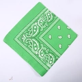 Classic green paisley bandana with intricate patterns and premium cotton texture - 54*54CM / Light Green