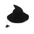 Black Knitted Hat + Spider