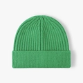 Classic bright green ribbed knit beanie with a folded cuff for winter warmth and style - One Size(Adjustable) / Fruit Green