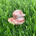 Red and white patterned agate crystal duck figurine on artificial grass surface - Red Grid Jasper
