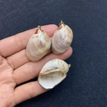 Three natural brown shells with gold-plated edges and rings for DIY jewelry making - No.5 (Brown White Texture - Gold Edge)