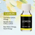 Lemon scented car perfume ornament 10ml with transparent glass bottle and citrus notes - 10ml / Lemon