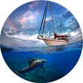Absorberende ronde flanellen mat met oceaanzeilen en dolfijnen in het onderwaterontwerp - 80x80cm / Oceaan Zeilschip